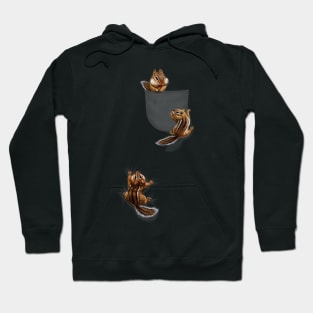 it play squirrels climbing in pocket chipmunks Hoodie